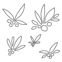 Set of hand draw doodle holly berry. Vector illustration.