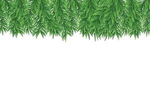 ramas de abeto verde, decoración para navidad y año nuevo sobre un fondo transparente y blanco. plantilla universal para folletos, postales, etiquetas de precio, invitaciones, vector de árbol de Navidad sin trama