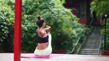 Woman practicing Yoga in the nature video