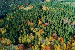 vista aérea de las montañas cubiertas de bosque de otoño foto