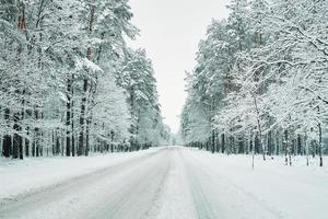 Snowy road in winter forest photo