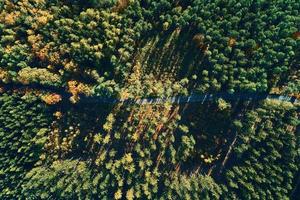 Road through forest, aeroal view photo