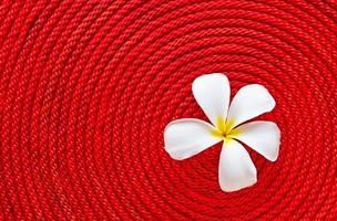 Flower on roll red rope photo