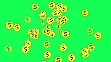 yellow coin with dollar sign falling like rain on green background or green screen, 4K 60 FPS video