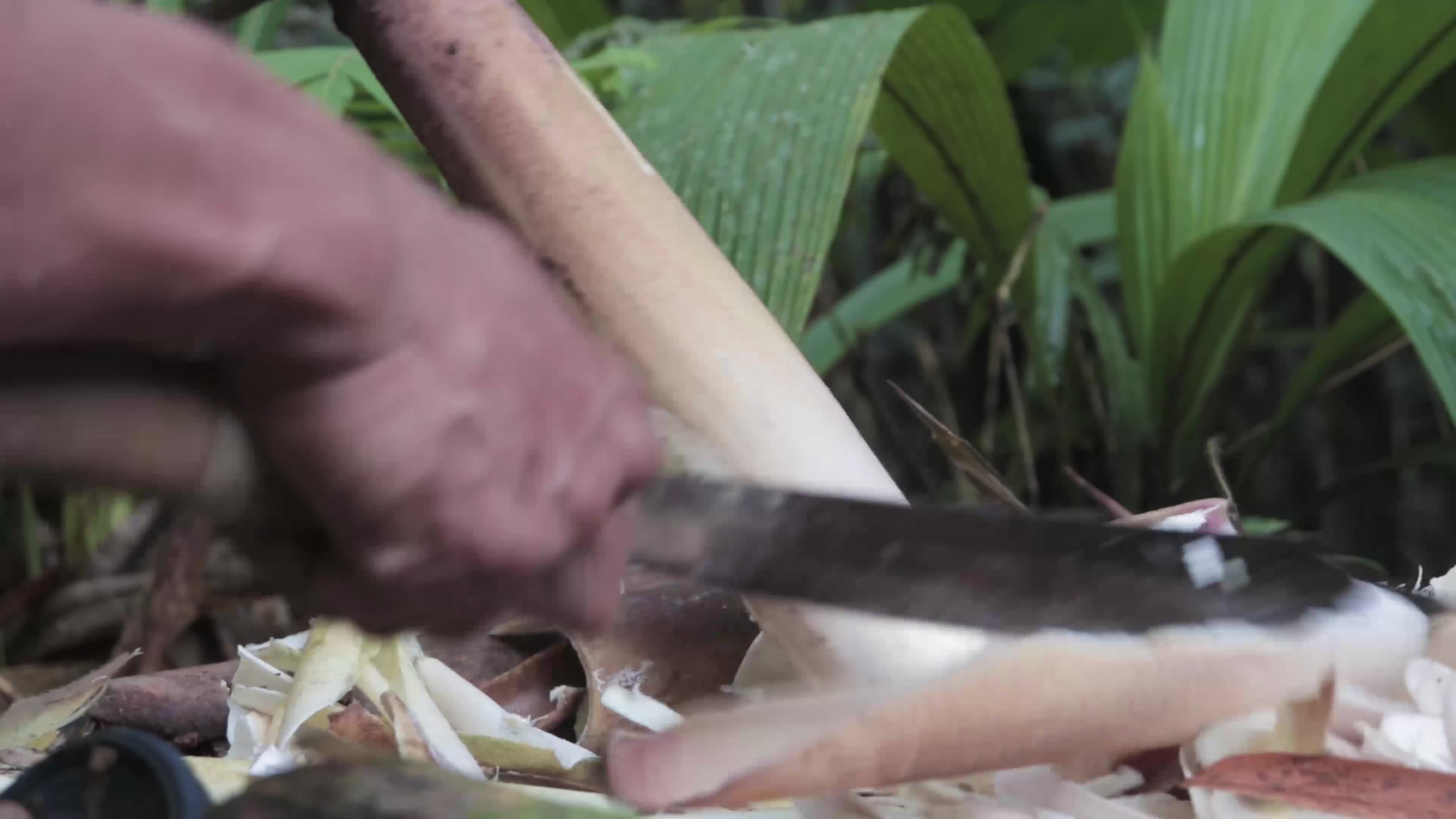 processing of bamboo shoots, separate from the skin of the bamboo shoots so that they are ready