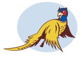 Cartoon Pheasant bird flying png