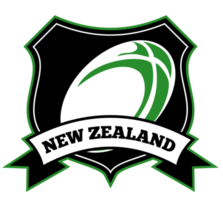 nuovo Zelanda Rugby palla scudo png