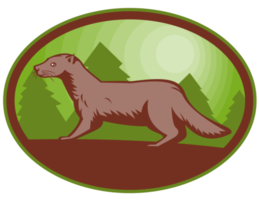 european mink side view png