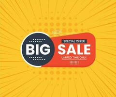 Big sale special offer icon vector