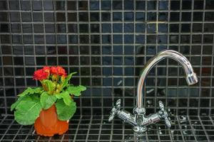 grifo de agua y una maceta de flores foto