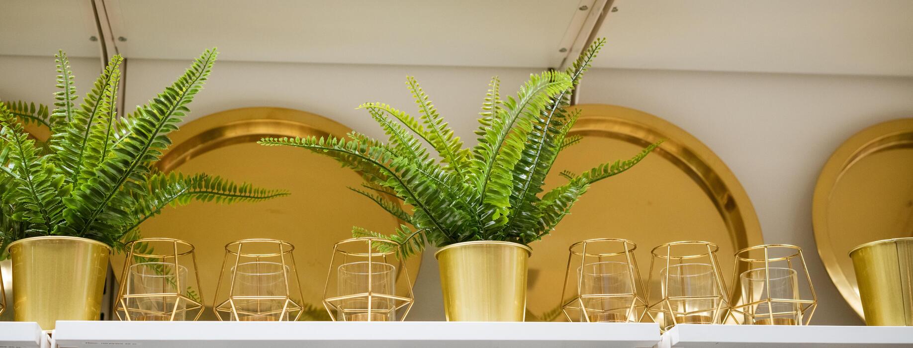 Glass Shelf Stock Photos, Images and Backgrounds for Free Download