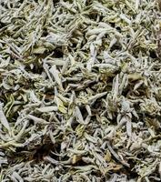 té de salvia en el mercado foto