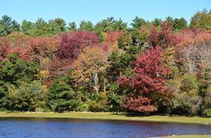 Colorful Autumn Foliage Around a Lake in New England photo