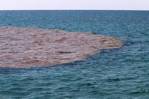 The color of the water in the mediterranean sea in shallow water photo