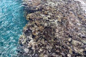 The color of the water in the mediterranean sea in shallow water photo