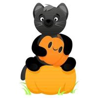 lindo gato negro con una calabaza en sus patas y se sienta en una calabaza vector