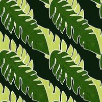 patrón tropical gráfico, hojas de palma fondo floral transparente. vector