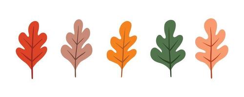 Set of cute leaf for autumn design element. Collection of simple cartoon of nature hand drawn illustration. vector