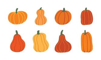 conjunto de linda calabaza para el elemento de diseño de otoño. colección de dibujos animados simples de la naturaleza ilustración dibujada a mano. vector