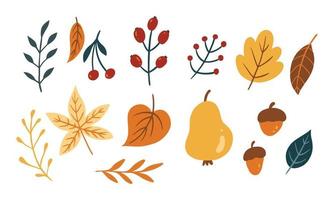 conjunto de lindas hojas y vegetales para el elemento de diseño de otoño. colección de dibujos animados simples de la naturaleza ilustración dibujada a mano. vector