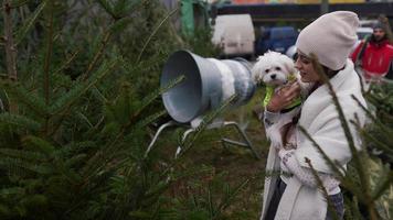 menina de inverno com cachorrinho olha para pinheiros video
