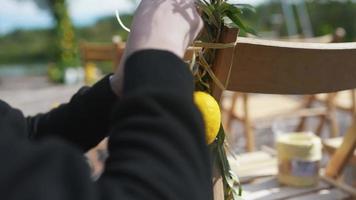 Woman decorates wooden chairs with real branches and lemons for an event video