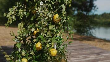 décoration d'événement de mariage sur le thème du citron sicilien