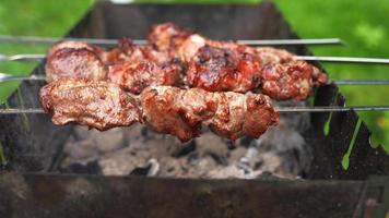 Meat roasting on skewers above hot coals in a grill video