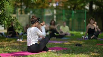 Frau unterrichtet Yoga im Outdoor-Kurs video