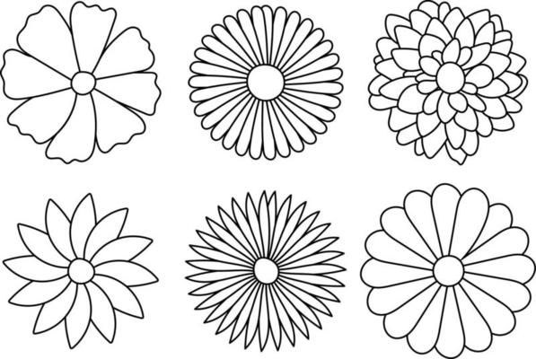 Set of 6 Outlined flowers isolated on white background