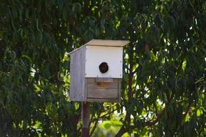 Homemade birdhouse in the garden photo