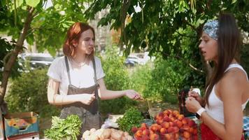 les femmes achètent des produits au marché des fermiers video