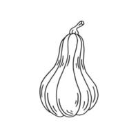 Pumpkin. Hand drawn vector illustration in doodle style. Black and white image of vegetables.