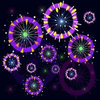 Fireworks on a dark background. vector