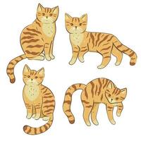Set of sand dune cats isolated on white background. Vector graphics.