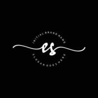 Initial ES handwriting logo template vector