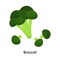 Cartoon broccoli isolated on white background. vector