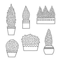 Set of hand drawn coniferous trees in pots. vector