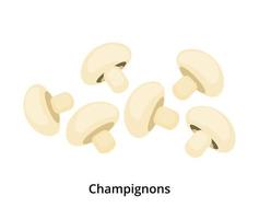 Cartoon champignons isolated on white background. vector