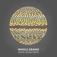 Cereal grains in circle. vector