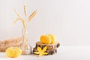 Autumn eco-design from knitted pumpkins, paper leaves, tree trunk and ears  on a light background photo