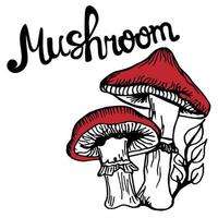 silhouette of poisonous mushrooms with a branch of leaves. one element. the outline of edible oyster mushrooms. The inscription MUSHROOMS. Suitable for magic, Halloween, poison potion. vector