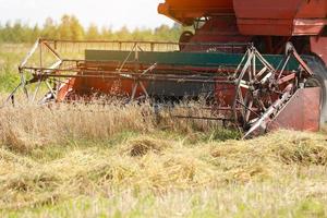 close up of combine slowly drives through the field and harvests the winter wheat crop. Cultivation of grain crops in the farm. Harvesting grain. Food security in the world. Organic farming. photo