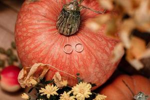 wedding golden rings on pumpkin. autumn wedding day photo