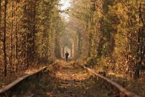 un hombre solitario caminando por el túnel del amor. otoño. foto