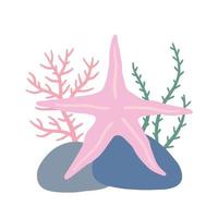 Starfish on seabed with rocks and algae. vector