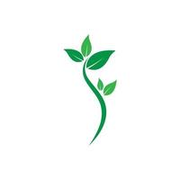 Green leaf logo vector