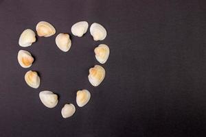 Symbolic heart made from seashells lying on black background photo