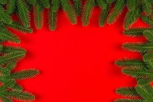 Top view of frame made of fir tree on colorful background with copy space. Merry Christmas concept photo