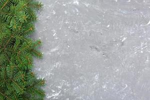 Christmas gray cement background with fir tree and copy space. top view empty space for your design photo